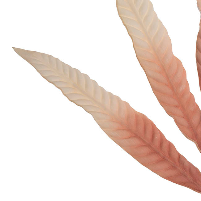 Hart's Tongue Fern Leaf Spray Dusty Pink (80cmH)