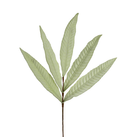 Hart's Tongue Fern Leaf Spray Ombre Green (80cmH)