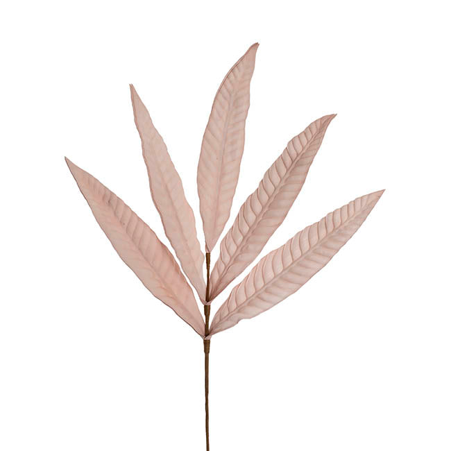 Hart's Tongue Fern Leaf Spray Powder Pink (80cmH)