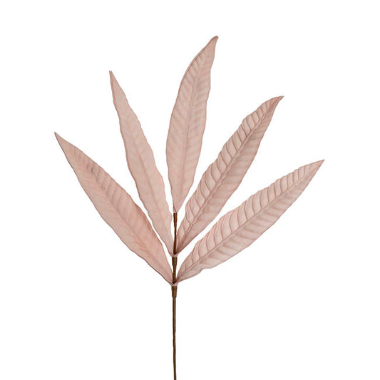 Hart's Tongue Fern Leaf Spray Powder Pink (80cmH)