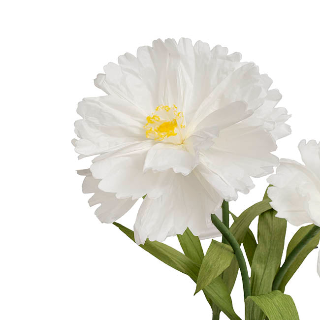 Giant Paper Cosmos w Base Set 3 White (130cmH)