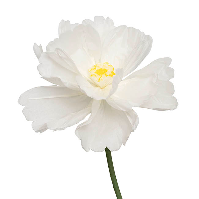 Giant Paper Cosmos w Base Set 3 White (130cmH)