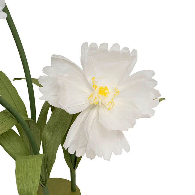 Giant Paper Cosmos w Base Set 3 White (130cmH)