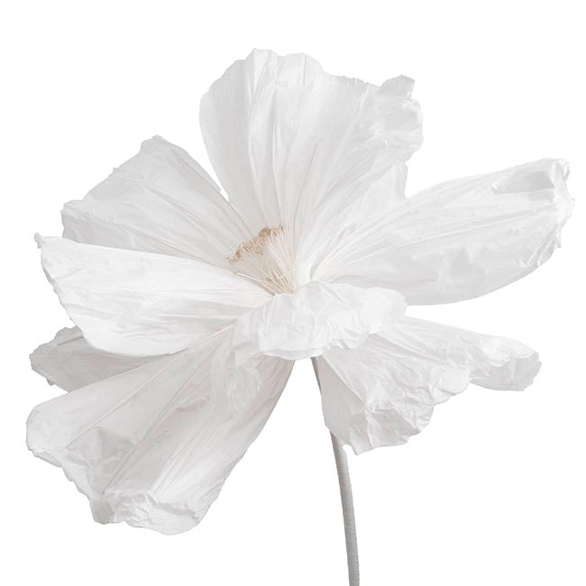 Giant Paper Event Cosmos w Base Set 3 White (135cmH)