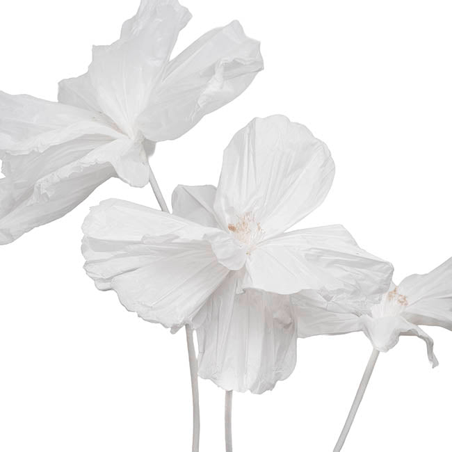 Giant Paper Event Cosmos w Base Set 3 White (135cmH)