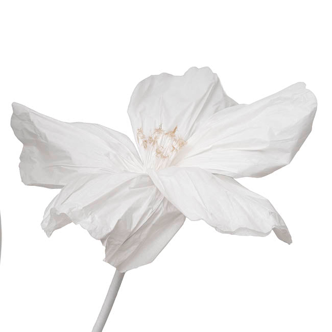 Giant Paper Event Cosmos w Base Set 3 White (135cmH)