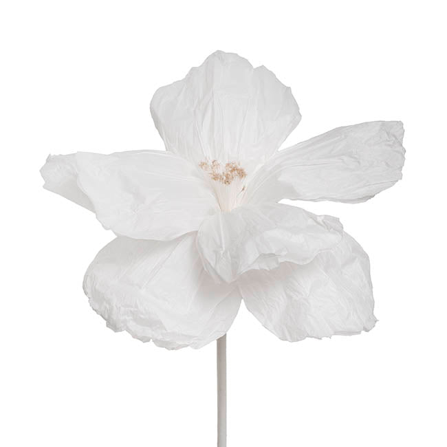 Giant Paper Event Cosmos Stem White (50cmDx120cmH)