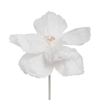 Giant Paper Event Cosmos Stem White (50cmDx120cmH)