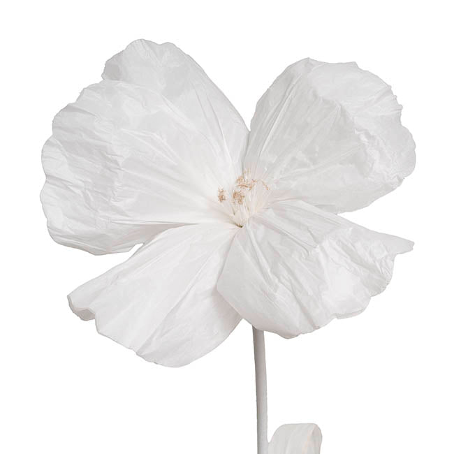 Giant Paper Event Cosmos Stem White (40cmDx95cmH)