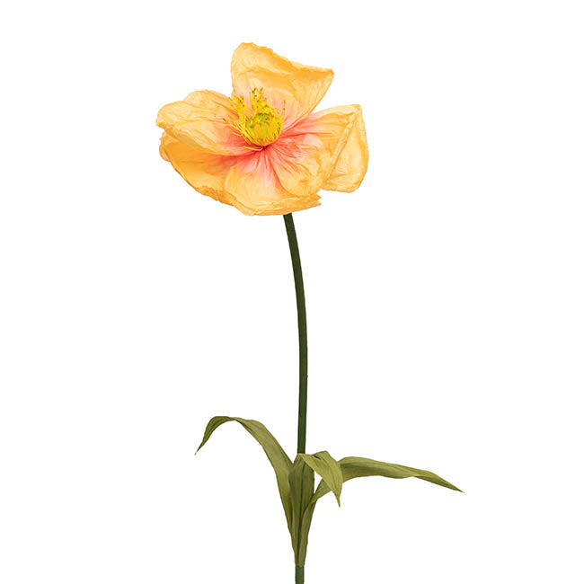 Large Paper Poppy Stem Orange (25cmDx115cmH)