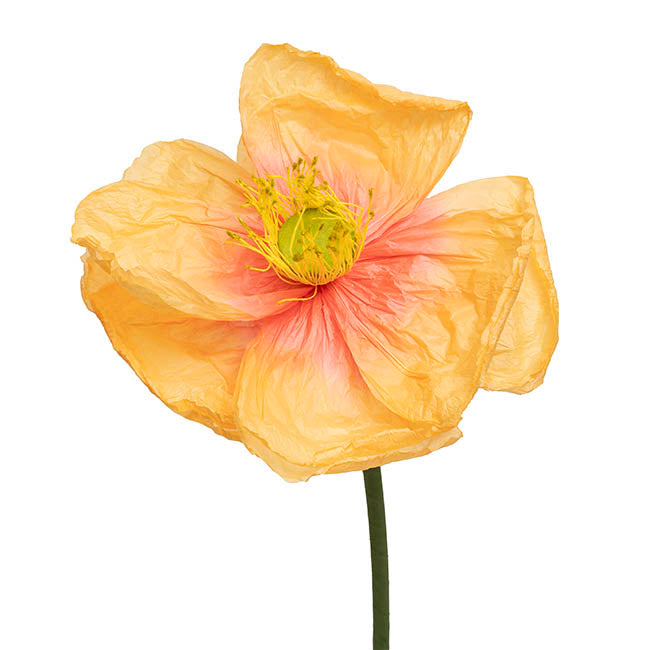 Large Paper Poppy Stem Orange (25cmDx115cmH)