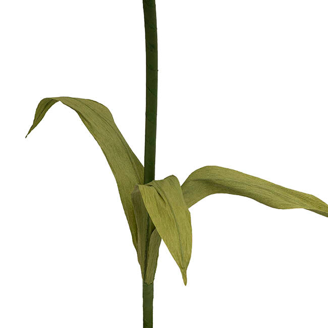 Large Paper Poppy Stem Orange (25cmDx115cmH)