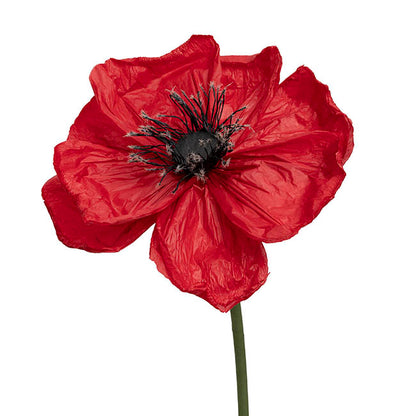 Large Paper Poppy Stem Red (25cmDx115cmH)