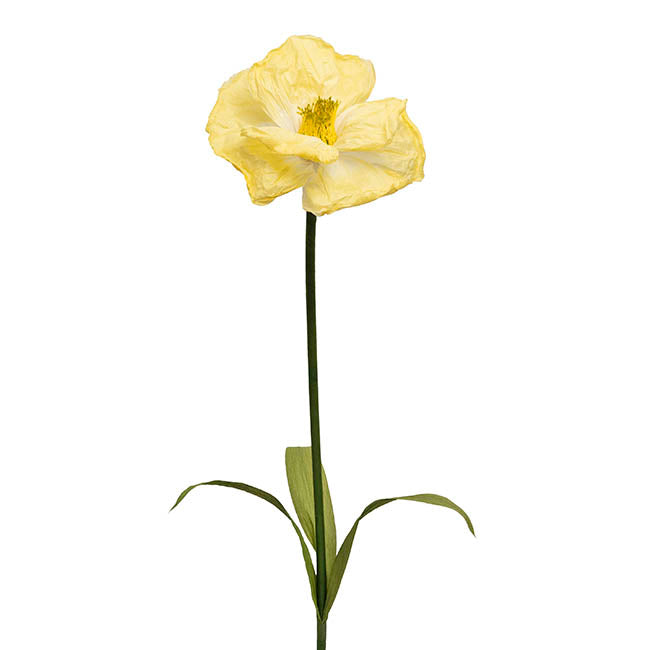 Large Paper Poppy Stem Yellow (25cmDx115cmH)