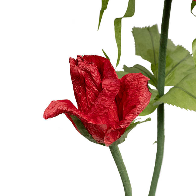 Giant Romantic Paper Roses w Base Set 3 Red (160cmH)