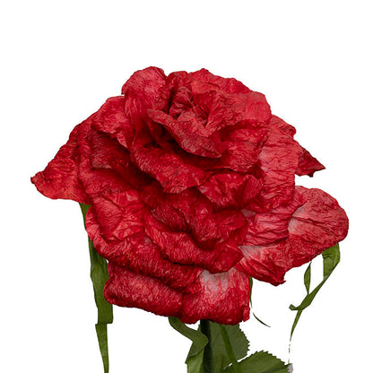 Giant Romantic Paper Roses w Base Set 3 Red (160cmH)