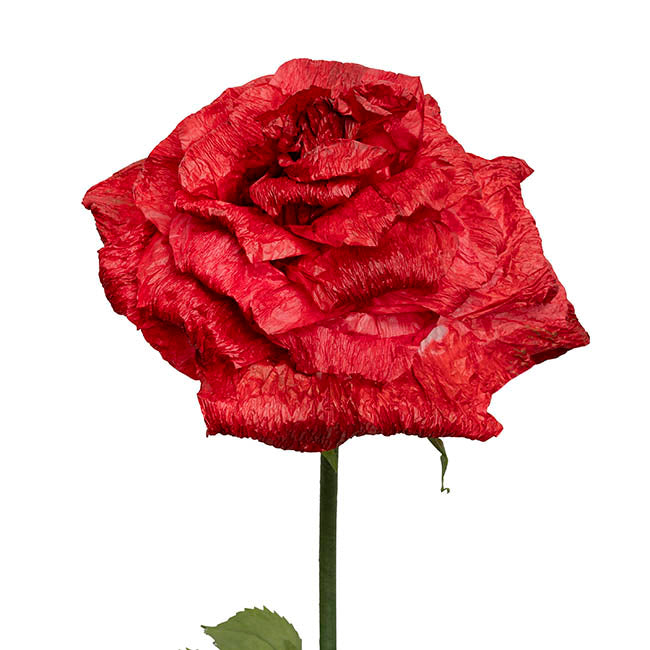 Giant Romantic Rose Stem Red (50cmDx160cmH)