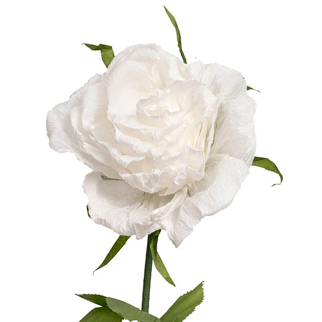 Giant Romantic Rose Stem White (50cmDx160cmH)