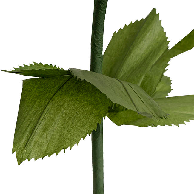 Giant Romantic Rose Stem White (50cmDx160cmH)