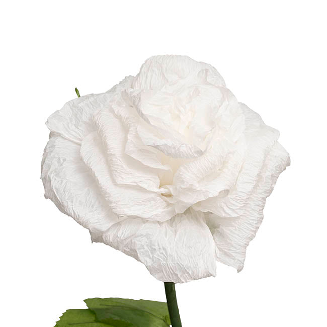 Large Romantic Rose Stem White (30cmDx130cmH)