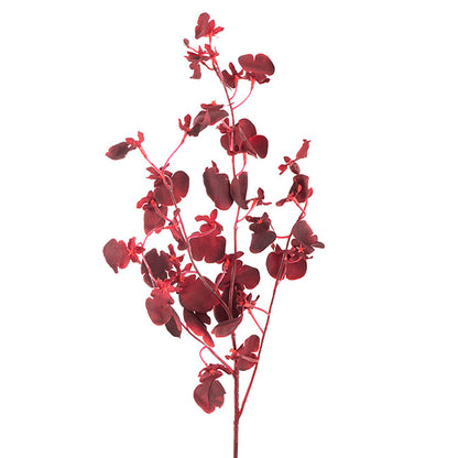 Dancing Lady Orchid Burgundy (81cmH)