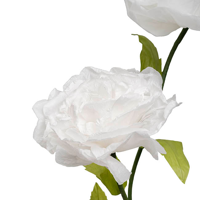 Giant Paper Roses w Base Set 3 White (155cmH)