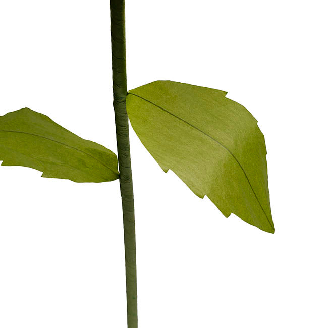 Large Paper Rose Stem Fuchsia (30cmDx125cmH)