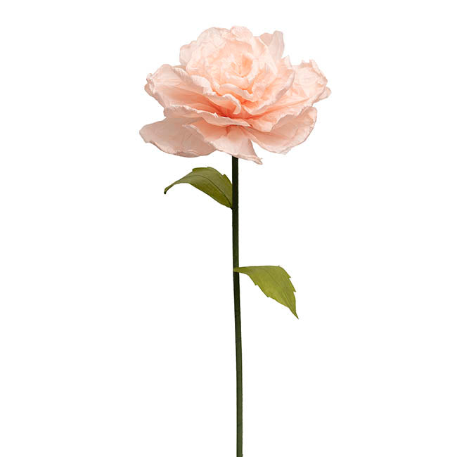 Large Paper Rose Stem Soft Peach (30cmDx125cmH)