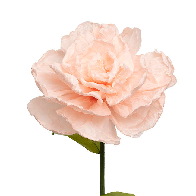 Large Paper Rose Stem Soft Peach (30cmDx125cmH)