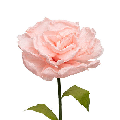 Large Paper Rose Stem Soft Pink (30cmDx125cmH)