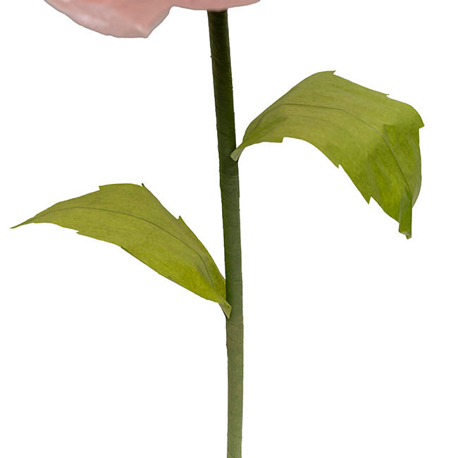 Large Paper Rose Stem Soft Pink (30cmDx125cmH)