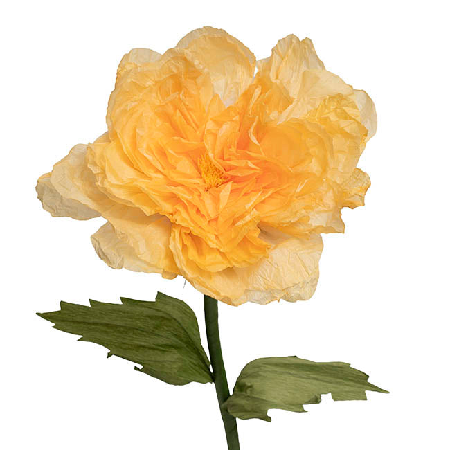 Large Paper Zinnia Stem Yellow (35cmDx110cmH)