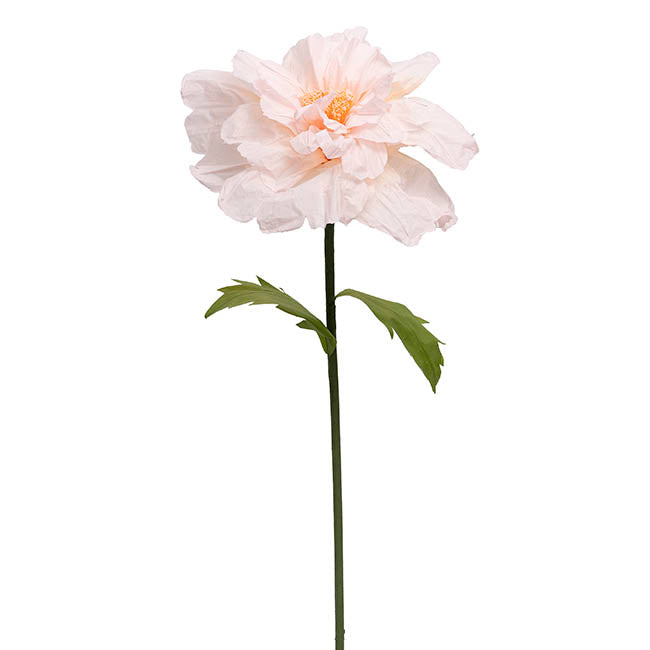 Giant Paper Anemone Stem Pale Pink (45cmDx120cmH)