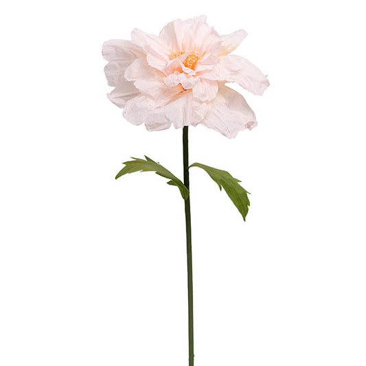 Giant Paper Anemone Stem Pale Pink (45cmDx120cmH)