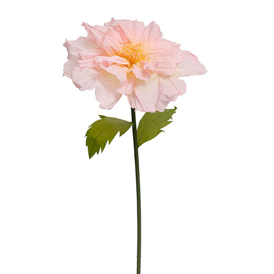 Giant Paper Anemone Stem Yellow Pink (45cmDx120cmH)