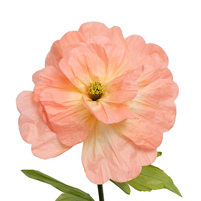 Giant Paper American Pillar Rose Stem Peach (40cmDx120cmH)