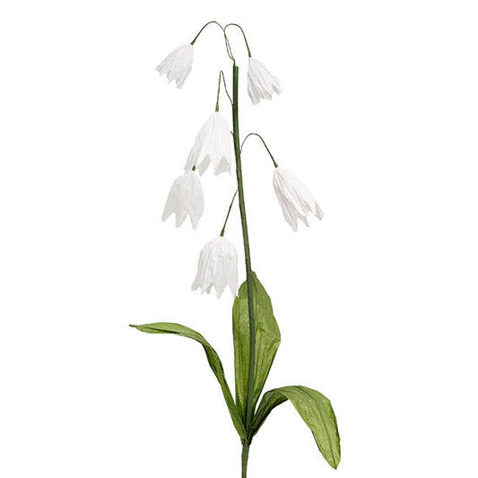 Giant Paper Lily of the Valley White (140cmH)