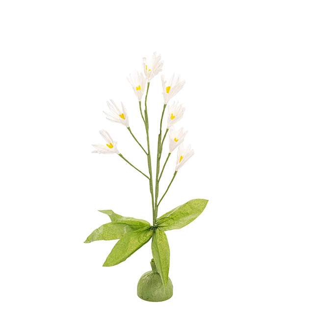 Bell Flower Large Paper x 7 Heads White (65cmH)
