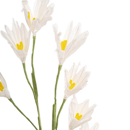 Bell Flower Large Paper x 7 Heads White (65cmH)