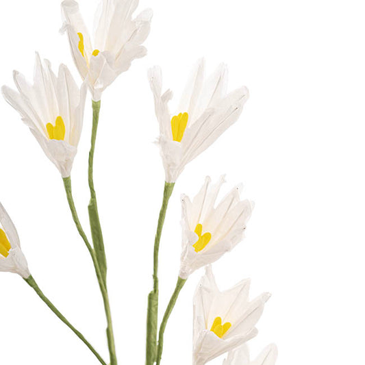 Bell Flower Large Paper x 7 Heads White (65cmH)