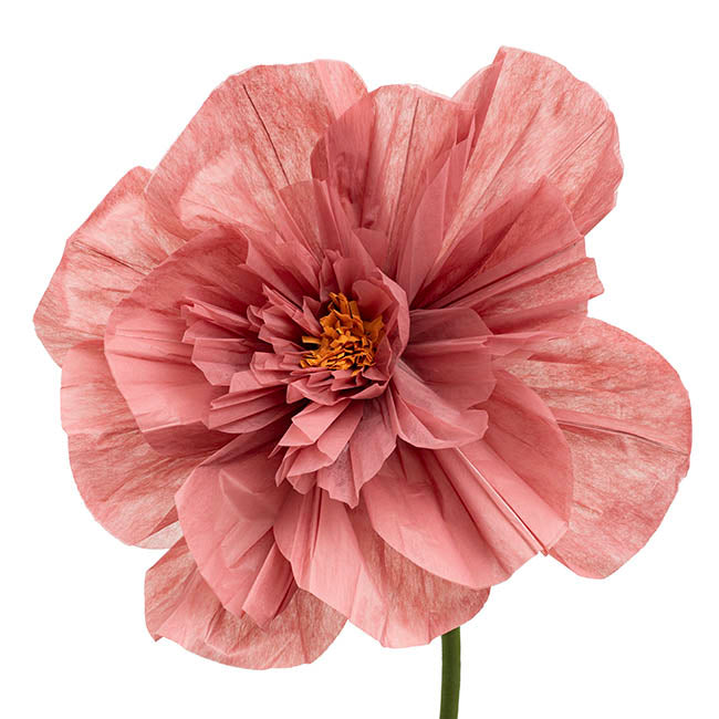 Giant Paper Peony Stem Dusty Pink (40cmDx158cmH)