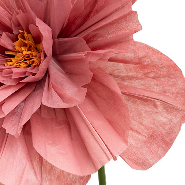 Giant Paper Peony Stem Dusty Pink (40cmDx158cmH)