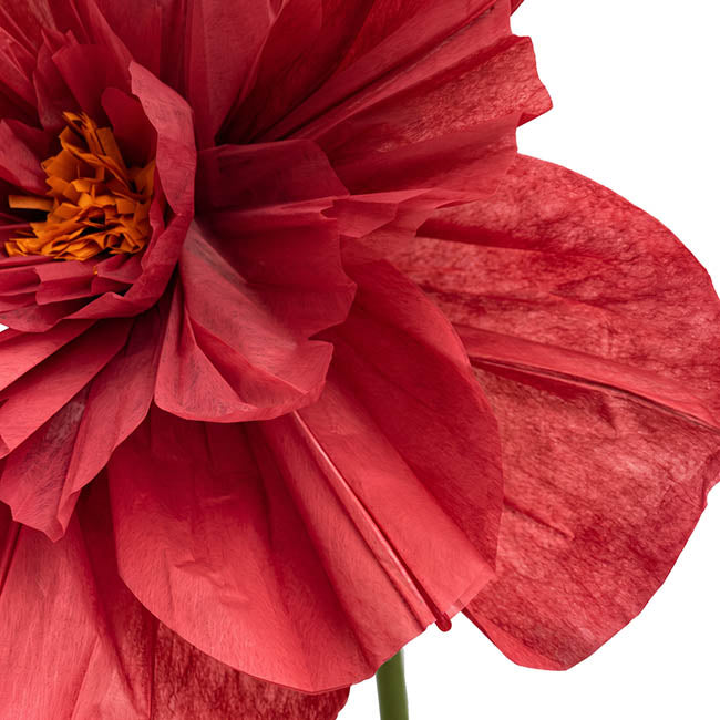 Giant Paper Peony Stem Dark Red (40cmDx158cmH)