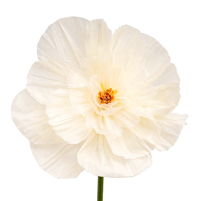 Giant Paper Peony Stem Creamy White (40cmDx158cmH)