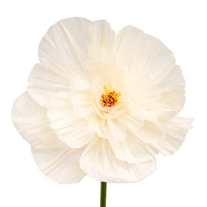 Giant Paper Peony Stem Creamy White (40cmDx158cmH)