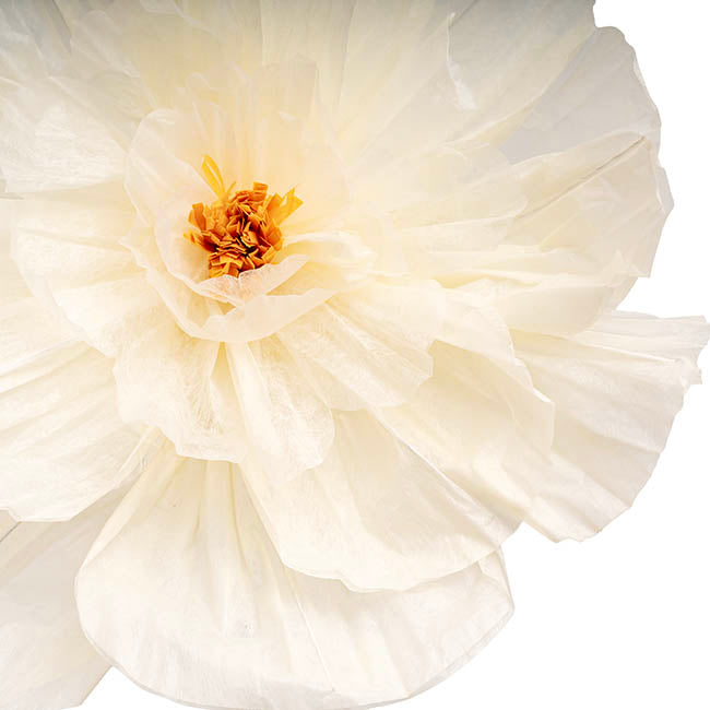 Giant Paper Peony Stem Creamy White (40cmDx158cmH)