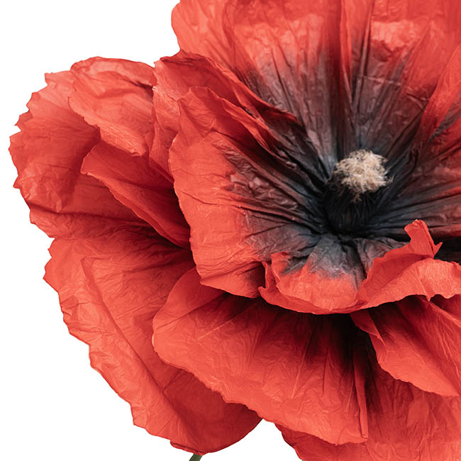 Giant Paper Poppy Flower Set 3 Red (180cmH)