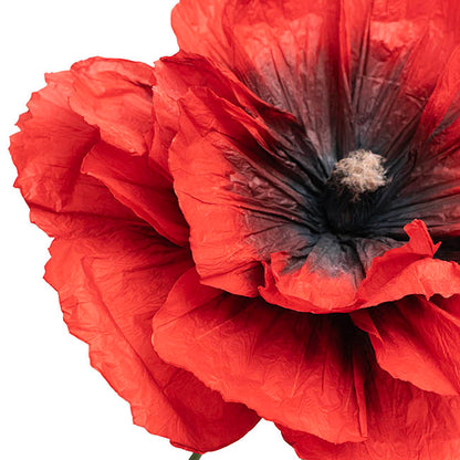 Giant Paper Poppy Flower Set 3 Red (180cmH)