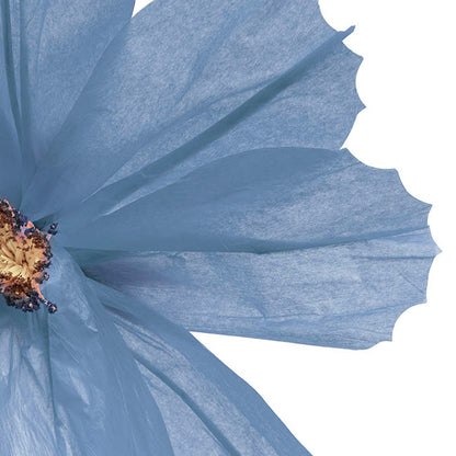 Giant Paper Cosmos Flower Set 2 Blue (160cmH)