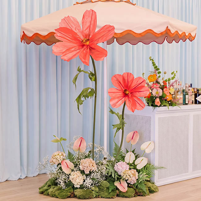 Giant Paper Cosmos Flower Set 2 Coral (160cmH)